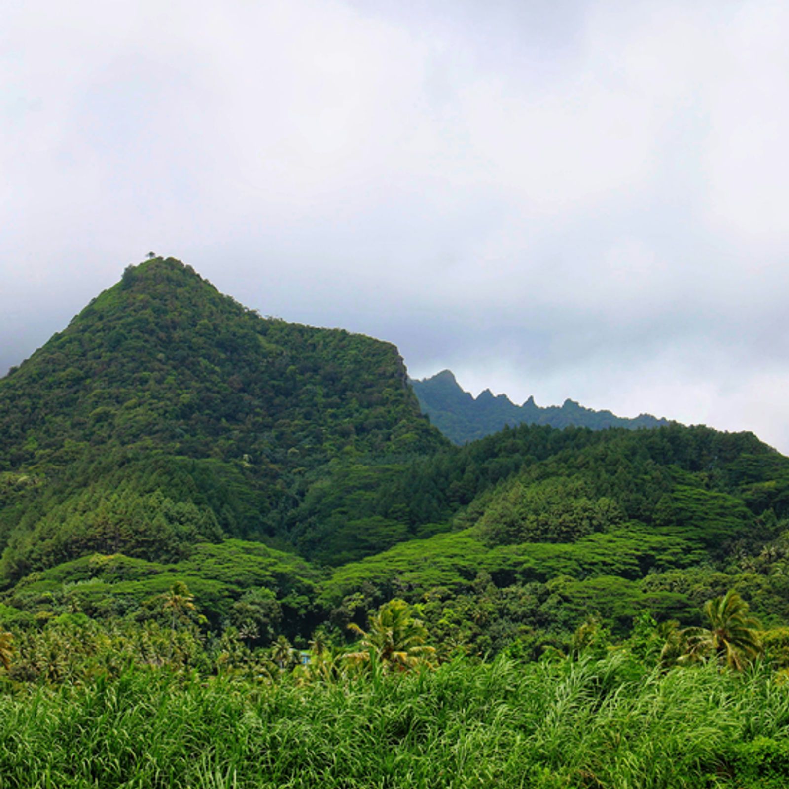 Enhanced Pacific Biosecurity Partnership Programme