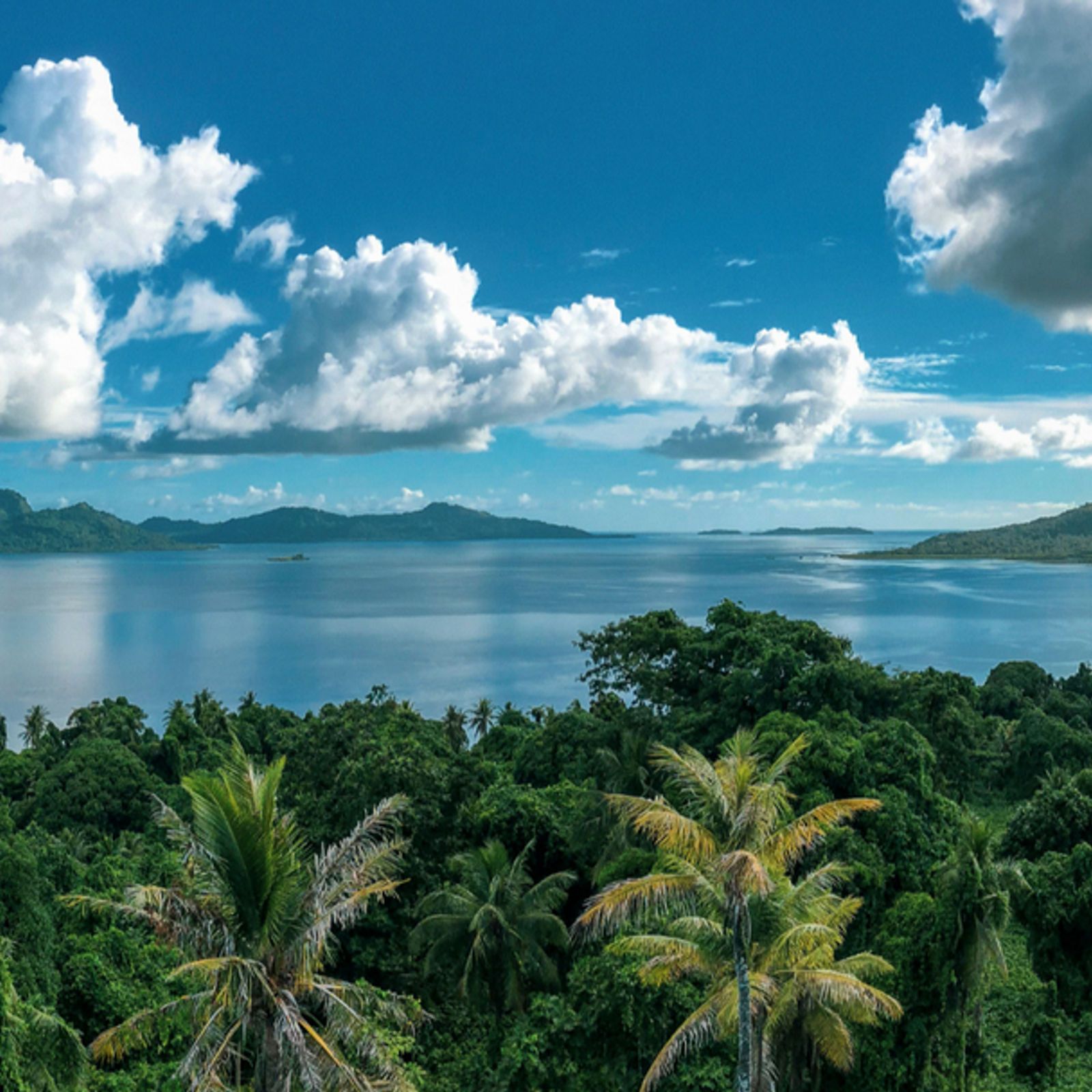 Driving Market Access in the Pacific