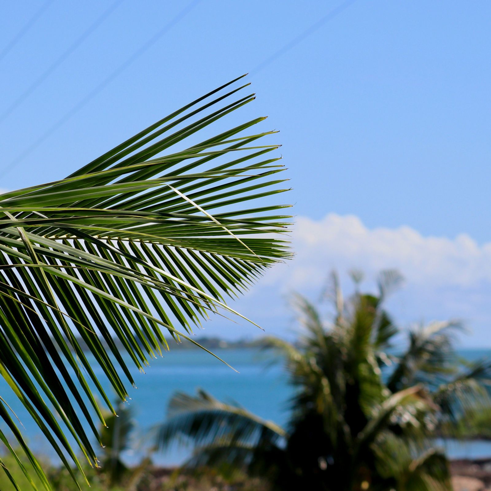 Building Resilience: Conservation International's Climate Project in Samoa and Tokelau